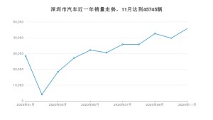 深圳市11月汽车销量统计 Model 3排名第一(2020年)