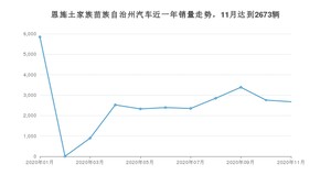 恩施土家族苗族自治州11月汽车销量统计 博越排名第一(2020年)