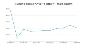 11月文山壮族苗族自治州汽车销量数据统计 五菱宏光S3排名第一(2020年)