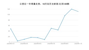 云度11月份销量数据发布 同比增长326.92%(2020年)