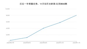 汉11月份销量数据发布 共8042台(2020年)
