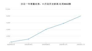 汉11月份销量数据发布 共8042台(2020年)