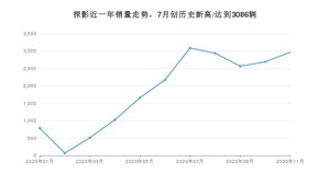 探影11月份销量数据发布 共2967台(2020年)
