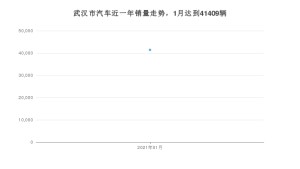 武汉市1月汽车销量数据发布 朗逸排名第一(2021年)