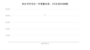 武汉市1月汽车销量数据发布 朗逸排名第一(2021年)