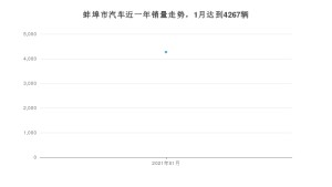 1月蚌埠市汽车销量数据统计 哈弗H6排名第一(2021年)
