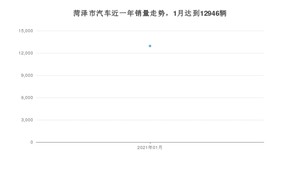 1月菏泽市汽车销量情况如何? 朗逸排名第一(2021年)