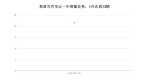 1月那曲市汽车销量数据统计 远景排名第一(2021年)