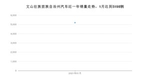 文山壮族苗族自治州1月汽车销量统计 五菱宏光S3排名第一(2021年)