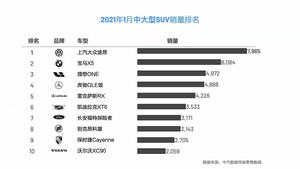 2021年1月SUV上险数据出炉：特斯拉Model Y上榜，理想ONE近五千