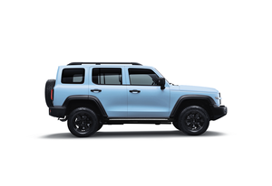 专属配色 限量300台 坦克300限定版车型官图发布