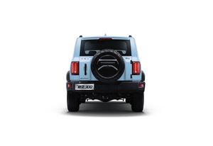 专属配色 限量300台 坦克300限定版车型官图发布