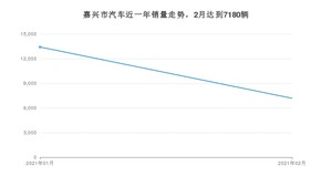 嘉兴市2月汽车销量数据发布 宏光MINI EV排名第一(2021年)