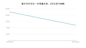 嘉兴市2月汽车销量数据发布 宏光MINI EV排名第一(2021年)