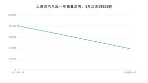 上海市2月汽车销量数据发布 Model 3排名第一(2021年)