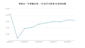 智跑 10月份销量数据发布 共6363台(2020年)