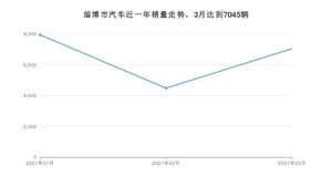 淄博市3月汽车销量统计 宏光MINI EV排名第一(2021年)