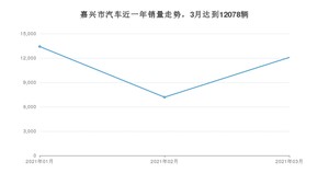 嘉兴市3月汽车销量统计 宏光MINI EV排名第一(2021年)