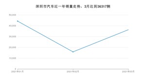 3月深圳市汽车销量情况如何? Model 3排名第一(2021年)