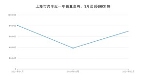 上海市3月汽车销量数据发布 Model 3排名第一(2021年)