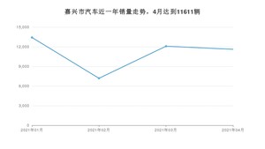 嘉兴市4月汽车销量统计 宏光MINI EV排名第一(2021年)