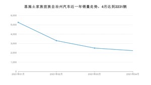 恩施土家族苗族自治州4月汽车销量数据发布 宏光MINI EV排名第一(2021年)