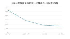 文山壮族苗族自治州4月汽车销量 宏光MINI EV排名第一(2021年)