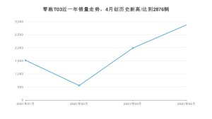 零跑T03 4月份销量数据发布 共2876台(2021年)