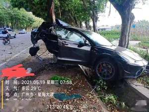 特斯拉Model 3撞树后起火 事故原因仍在调查中