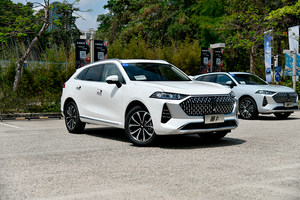 主推中配特醇版 WEY摩卡购车手册