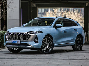 来一杯“特浓”摩卡 WEY摩卡购车手册