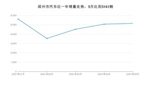 滨州市5月汽车销量数据发布 宏光MINI EV排名第一(2021年)