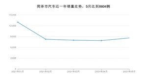 菏泽市5月汽车销量统计 宏光MINI EV排名第一(2021年)