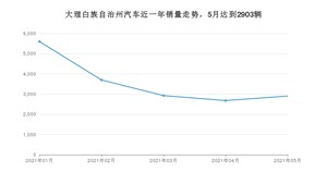 5月大理白族自治州汽车销量数据统计 五菱宏光排名第一(2021年)