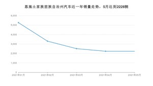 恩施土家族苗族自治州5月汽车销量 宏光MINI EV排名第一(2021年)