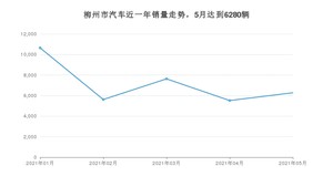 柳州市5月汽车销量 宝骏E200排名第一(2021年)