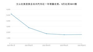 文山壮族苗族自治州5月汽车销量统计 宏光MINI EV排名第一(2021年)