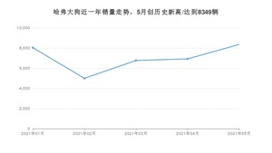 2021年5月哈弗大狗销量及报价 近几月销量走势一览