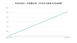 哈弗赤兔 2021年5月份销量数据发布 共1039台