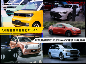 6月新能源销量排行Top 10丨欧拉黑猫回归 宏光MINIEV连续10月冠销