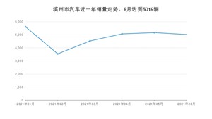 滨州市6月汽车销量 宏光MINI EV排名第一(2021年)