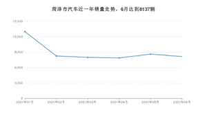 菏泽市6月汽车销量统计 宏光MINI EV排名第一(2021年)