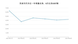 芜湖市6月汽车销量 瑞虎8排名第一(2021年)