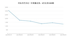河池市6月汽车销量数据发布 宏光MINI EV排名第一(2021年)