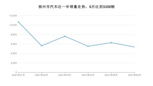 6月柳州市汽车销量数据统计 宏光MINI EV排名第一(2021年)