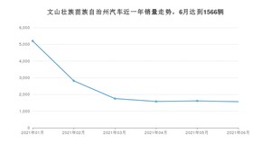 6月文山壮族苗族自治州汽车销量情况如何? 宏光MINI EV排名第一(2021年)