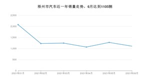 6月梧州市汽车销量情况如何? 宏光MINI EV排名第一(2021年)