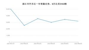 湛江市6月汽车销量 轩逸排名第一(2021年)