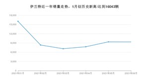 现代伊兰特 2021年6月份销量数据发布 共9342台