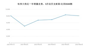 2021年6月哈弗大狗销量多少？ 全国销量分布如何？